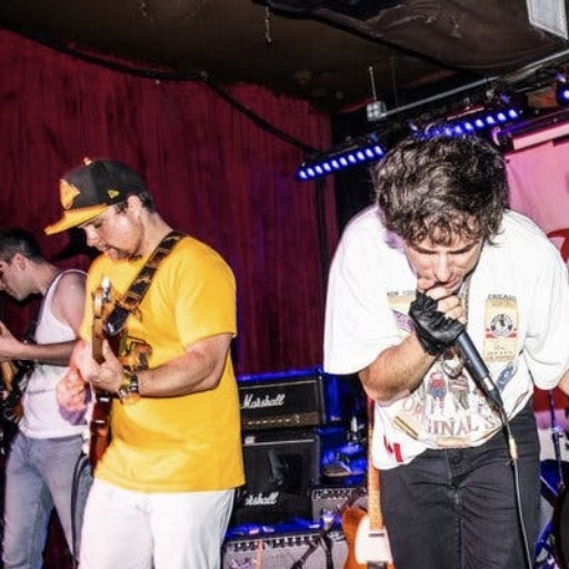 The Brokes Concerts in Grand Rapids